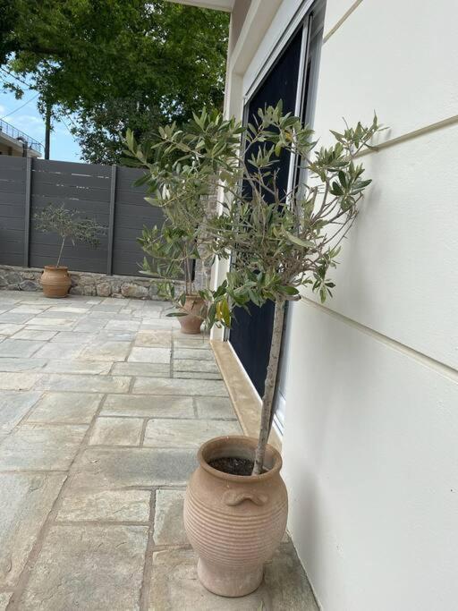 Villa Oleander Agios Nikolaos Loutra Edipsou Eksteriør billede
