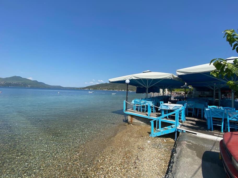 Villa Oleander Agios Nikolaos Loutra Edipsou Eksteriør billede